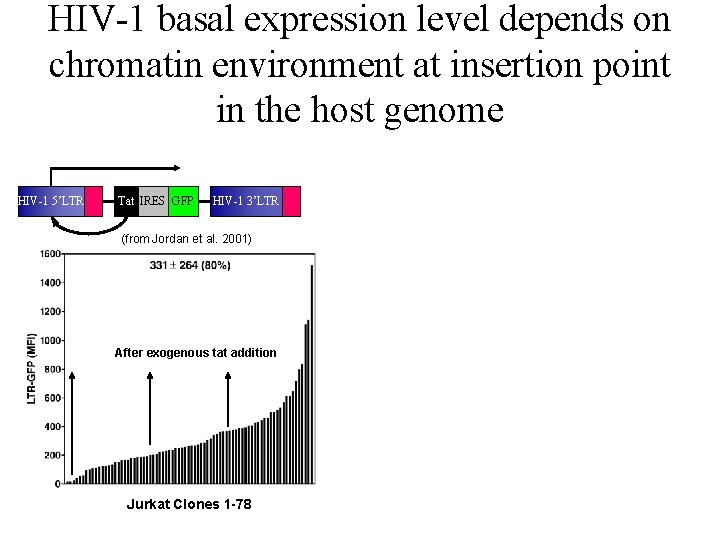 HIV-1 basal expression level depends on chromatin environment at insertion point in the host