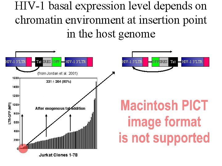 HIV-1 basal expression level depends on chromatin environment at insertion point in the host