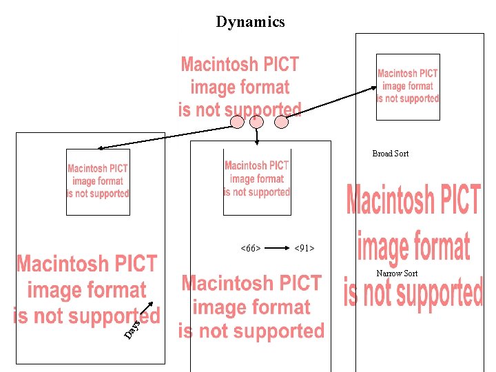 Dynamics Broad Sort <66> <91> Da ys Narrow Sort 