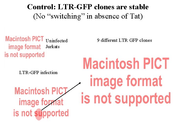 Control: LTR-GFP clones are stable (No “switching” in absence of Tat) Uninfected Jurkats LTR-GFP