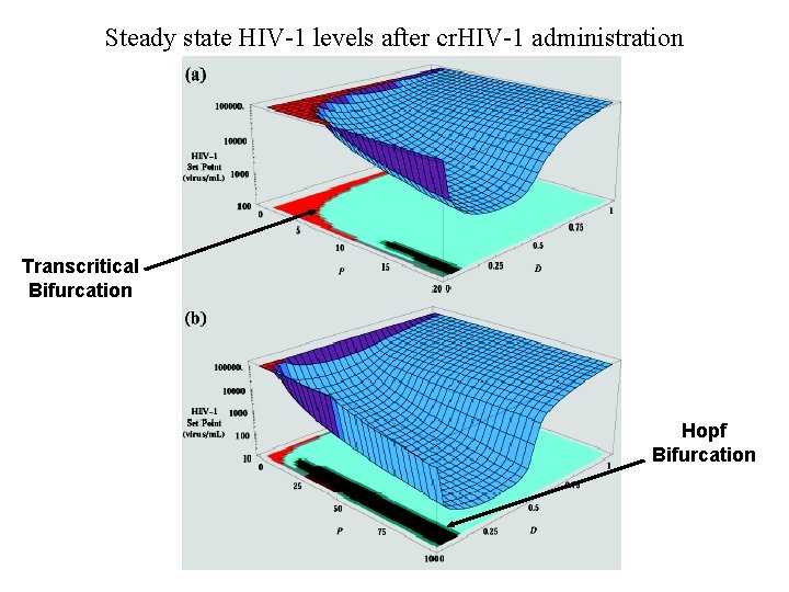 Steady state HIV-1 levels after cr. HIV-1 administration Transcritical Bifurcation Hopf Bifurcation 