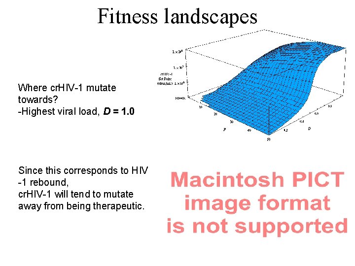 Fitness landscapes Where cr. HIV-1 mutate towards? -Highest viral load, D = 1. 0