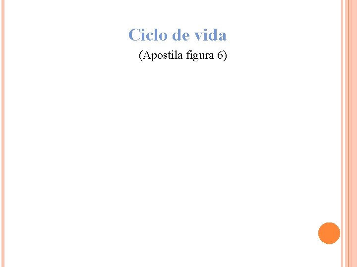 Ciclo de vida (Apostila figura 6) 