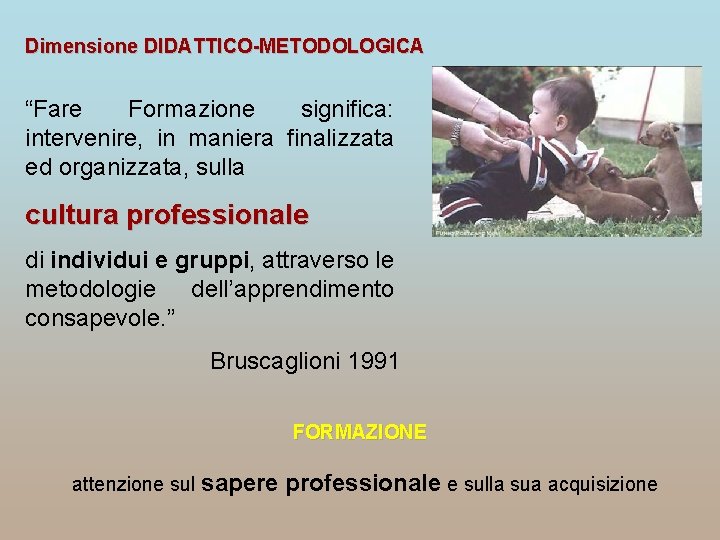 Dimensione DIDATTICO-METODOLOGICA “Fare Formazione significa: intervenire, in maniera finalizzata ed organizzata, sulla cultura professionale