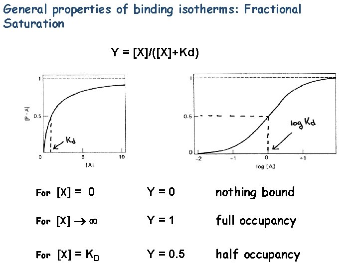 General properties of binding isotherms: Fractional Saturation Y = [X]/([X]+Kd) For X = 0