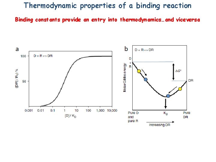 Thermodynamic properties of a binding reaction Binding constants provide an entry into thermodynamics…and viceversa