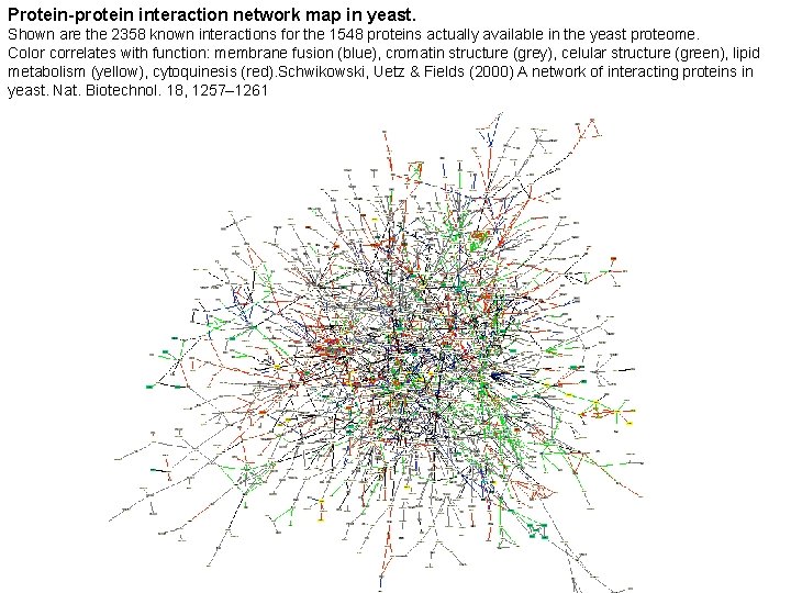 Protein-protein interaction network map in yeast. Shown are the 2358 known interactions for the
