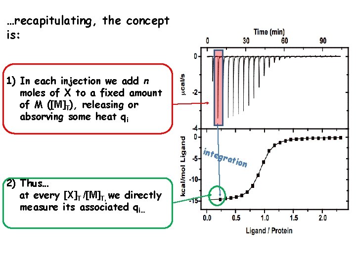 …recapitulating, the concept is: 1) In each injection we add n moles of X