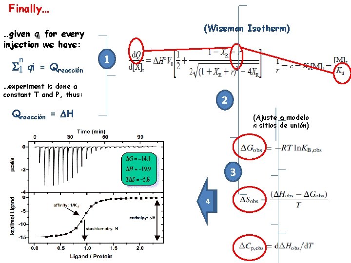 Finally… (Wiseman Isotherm) …given qi for every injection we have: n 1 qi =