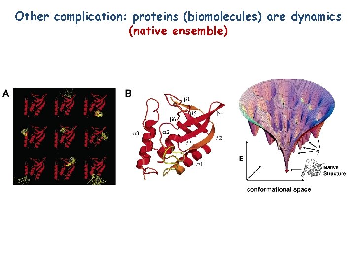 Other complication: proteins (biomolecules) are dynamics (native ensemble) 