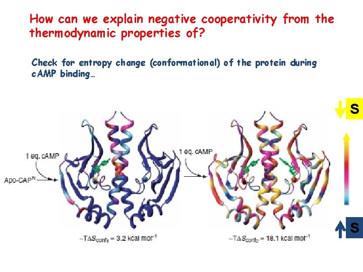 How can we explain negative cooperativity from thermodynamic properties of? Check for entropy change