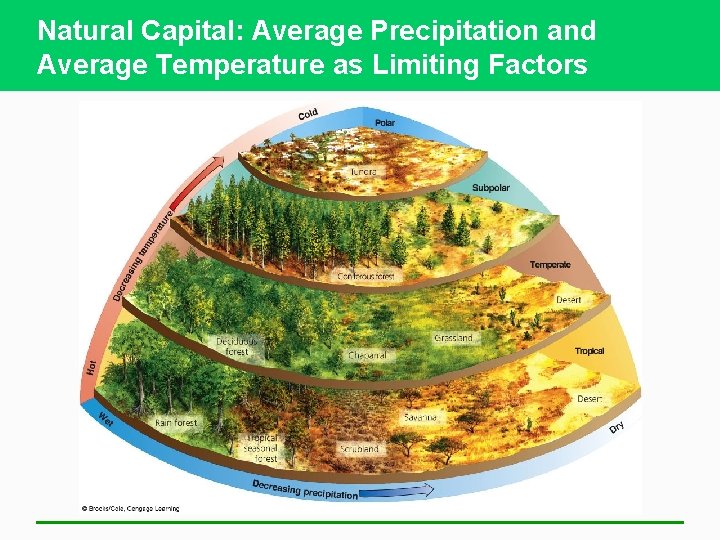 Natural Capital: Average Precipitation and Average Temperature as Limiting Factors 