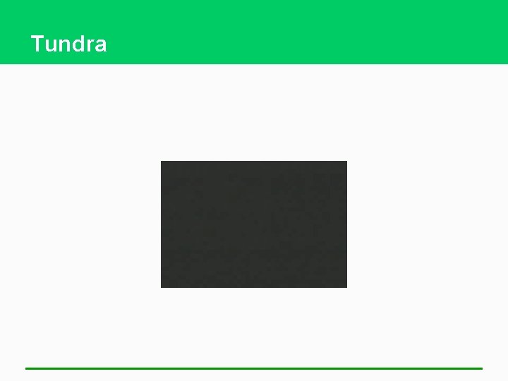 Tundra 