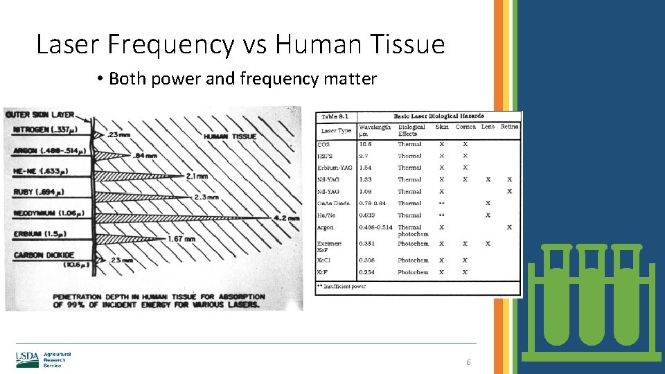 Laser Frequency vs Human Tissue • Both power and frequency matter 6 