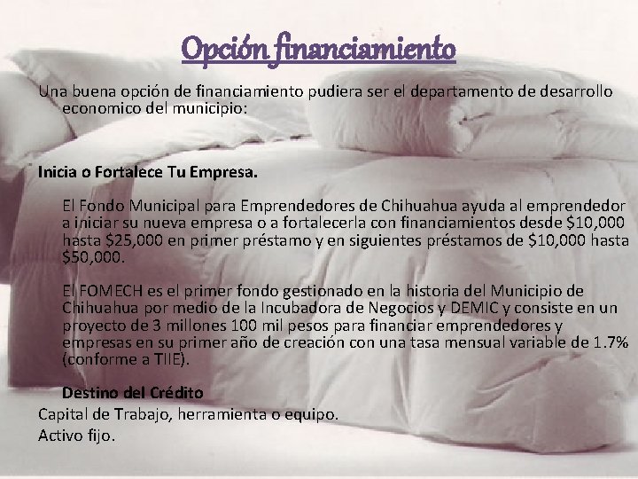 Opción financiamiento Una buena opción de financiamiento pudiera ser el departamento de desarrollo economico