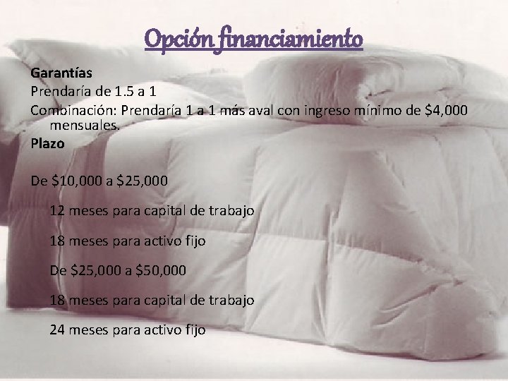 Opción financiamiento Garantías Prendaría de 1. 5 a 1 Combinación: Prendaría 1 más aval