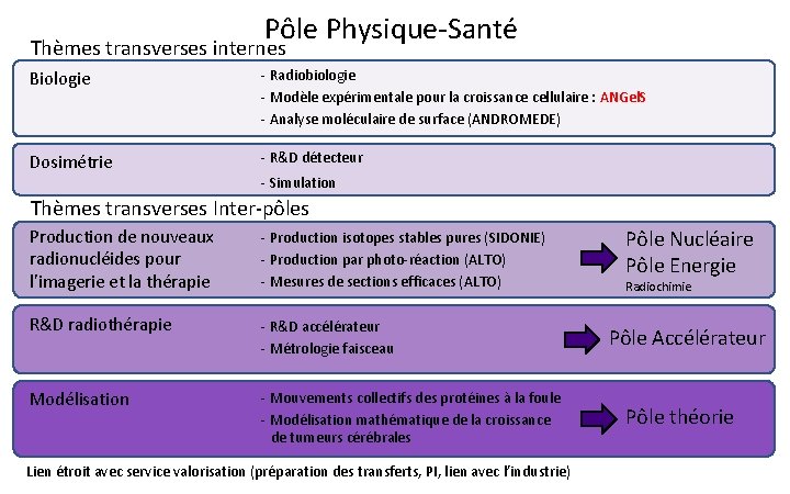 Pôle Physique-Santé Thèmes transverses internes Biologie - Radiobiologie - Modèle expérimentale pour la croissance