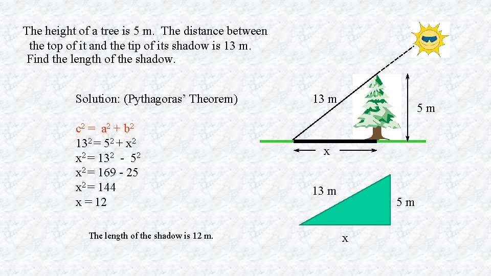 The height of a tree is 5 m. The distance between the top of