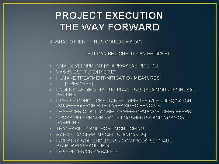 PROJECT EXECUTION THE WAY FORWARD 6. WHAT OTHER THINGS COULD EMS DO? IF IT