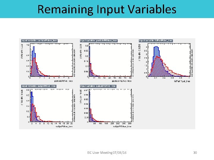 Remaining Input Variables EIC User Meeting 07/08/16 30 