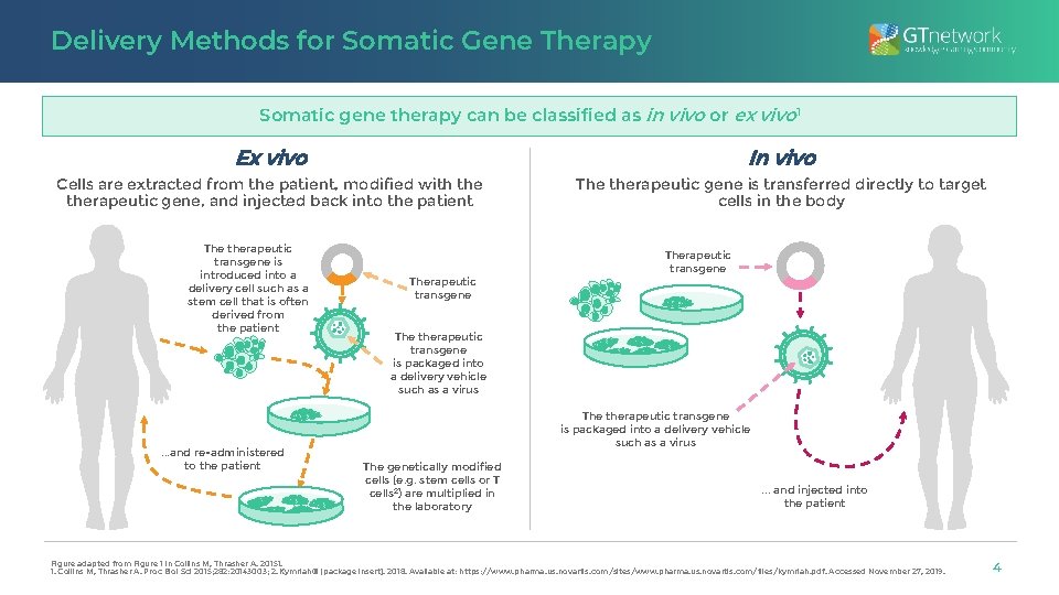 Delivery Methods for Somatic Gene Therapy Somatic gene therapy can be classified as in