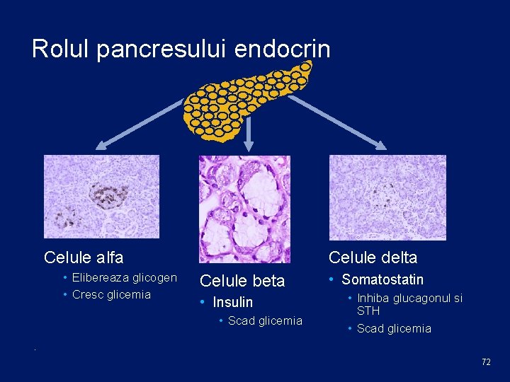 Rolul pancresului endocrin Celule alfa • Elibereaza glicogen • Cresc glicemia Celule delta Celule
