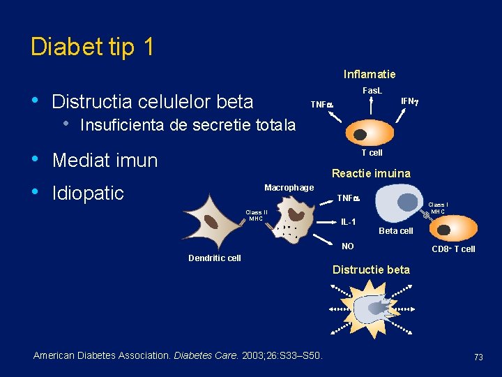 Diabet tip 1 Inflamatie Fas. L • Distructia celulelor beta IFNg TNFa • Insuficienta