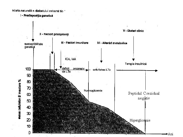Peptidul C rezidual negativ Hiperglicemie Ani 