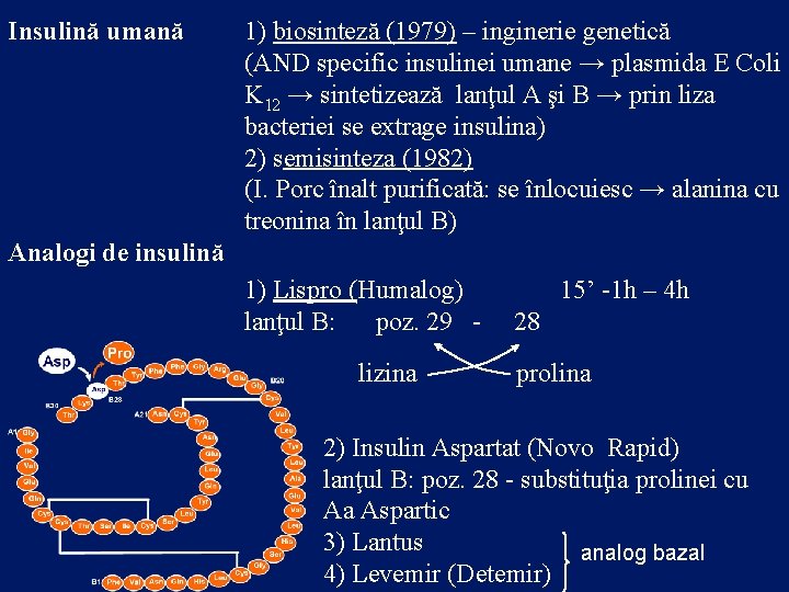Insulină umană 1) biosinteză (1979) – inginerie genetică (AND specific insulinei umane → plasmida