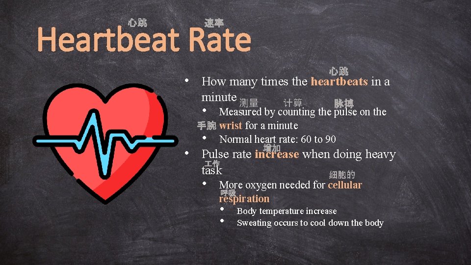 Heartbeat Rate 心跳 速率 心跳 • How many times the heartbeats in a minute