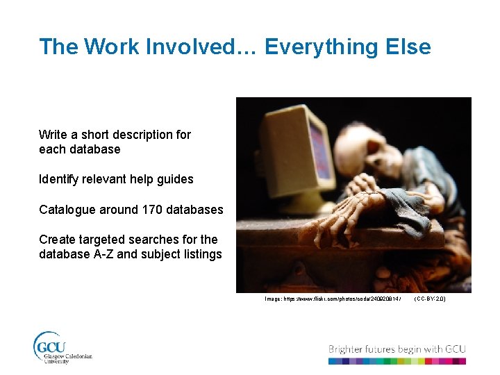 The Work Involved… Everything Else Write a short description for each database Identify relevant