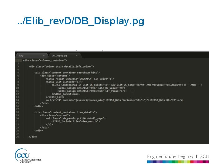 . . /Elib_rev. D/DB_Display. pg 