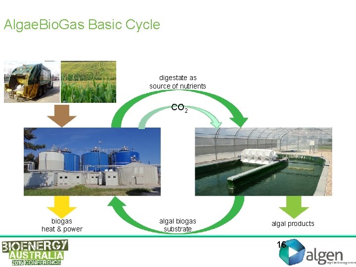 Algae. Bio. Gas Basic Cycle digestate as source of nutrients CO 2 biogas heat