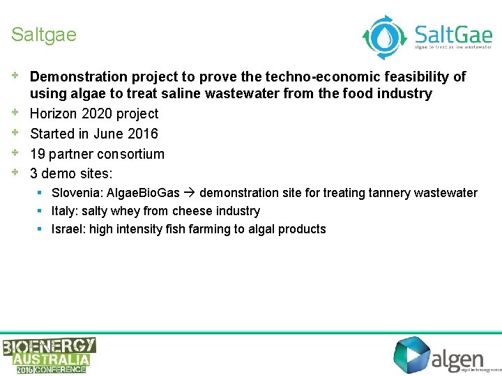 Saltgae • • • Demonstration project to prove the techno-economic feasibility of using algae