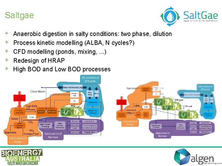 Saltgae • • • Anaerobic digestion in salty conditions: two phase, dilution Process kinetic
