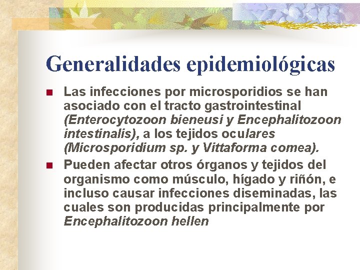 Generalidades epidemiológicas n n Las infecciones por microsporidios se han asociado con el tracto