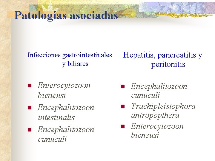 Patologías asociadas Infecciones gastrointestinales y biliares n n n Enterocytozoon bieneusi Encephalitozoon intestinalis Encephalitozoon