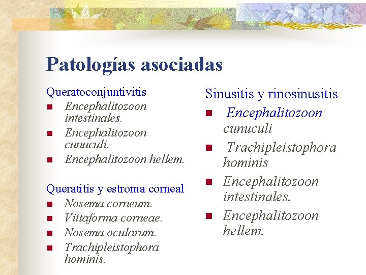 Patologías asociadas Queratoconjuntivitis n Encephalitozoon intestinales. n Encephalitozoon cunuculi. n Encephalitozoon hellem. Queratitis y