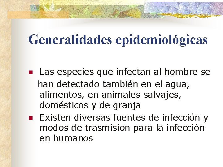 Generalidades epidemiológicas n n Las especies que infectan al hombre se han detectado también