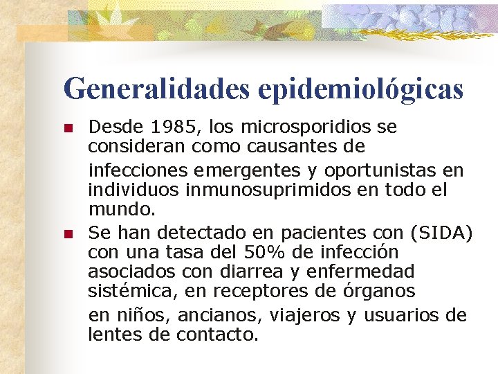 Generalidades epidemiológicas n n Desde 1985, los microsporidios se consideran como causantes de infecciones