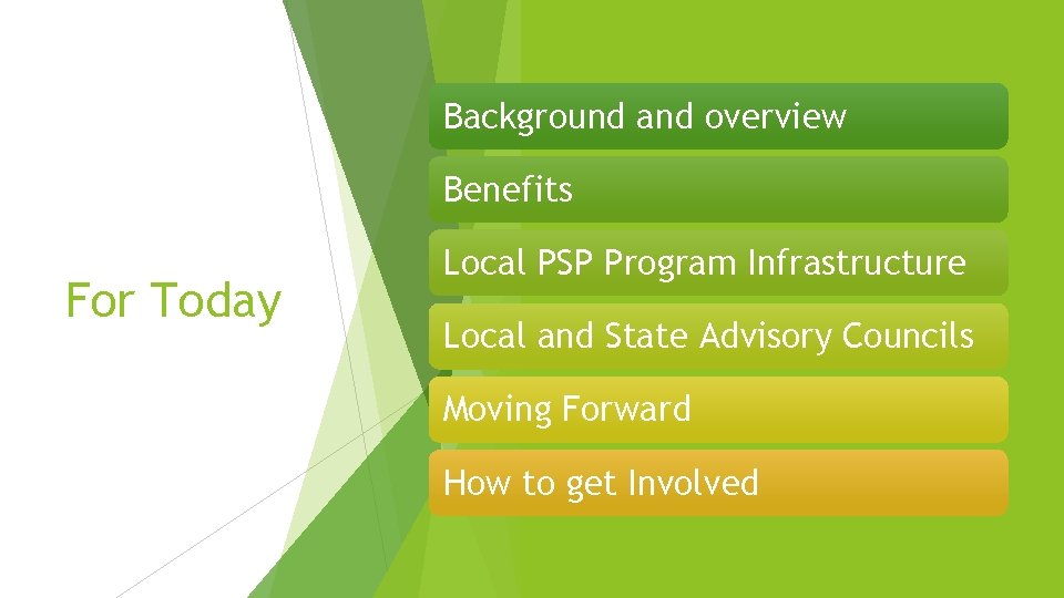 Background and overview Benefits For Today Local PSP Program Infrastructure Local and State Advisory