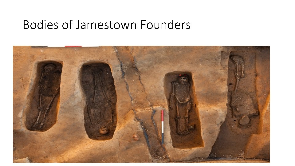 Bodies of Jamestown Founders 