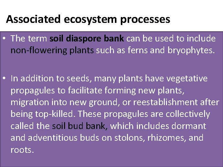 Associated ecosystem processes • The term soil diaspore bank can be used to include