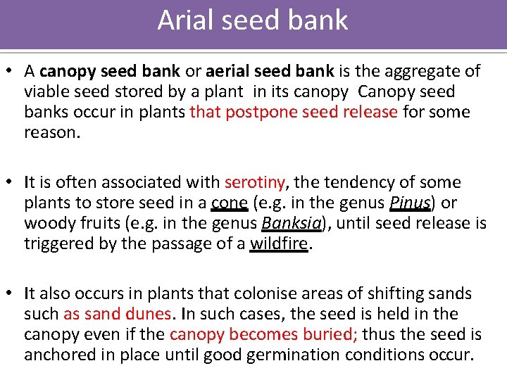 Arial seed bank • A canopy seed bank or aerial seed bank is the
