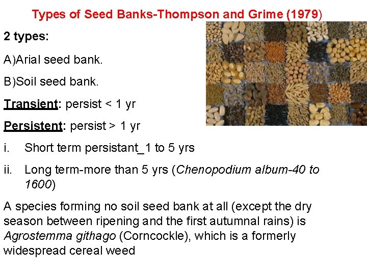 Types of Seed Banks-Thompson and Grime (1979) 2 types: A)Arial seed bank. B)Soil seed