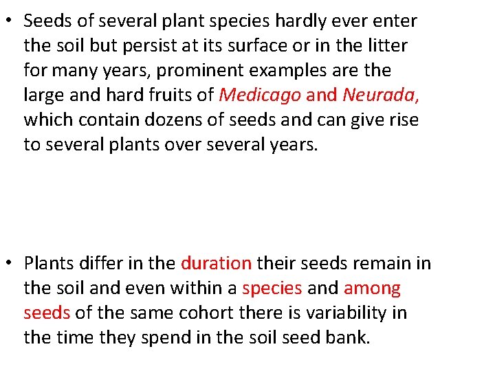  • Seeds of several plant species hardly ever enter the soil but persist