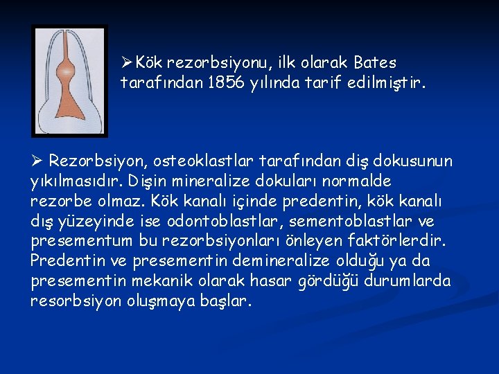ØKök rezorbsiyonu, ilk olarak Bates tarafından 1856 yılında tarif edilmiştir. Ø Rezorbsiyon, osteoklastlar tarafından