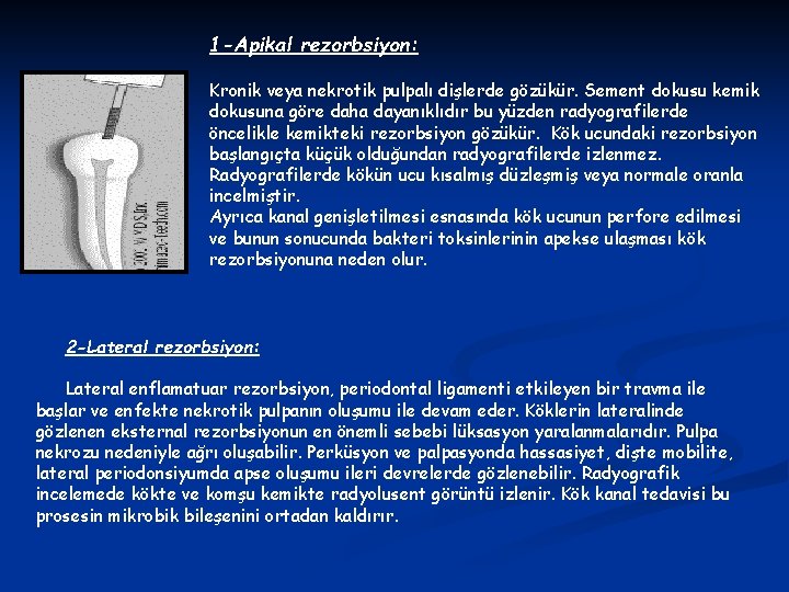 1 -Apikal rezorbsiyon: Kronik veya nekrotik pulpalı dişlerde gözükür. Sement dokusu kemik dokusuna göre