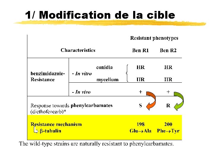 1/ Modification de la cible 