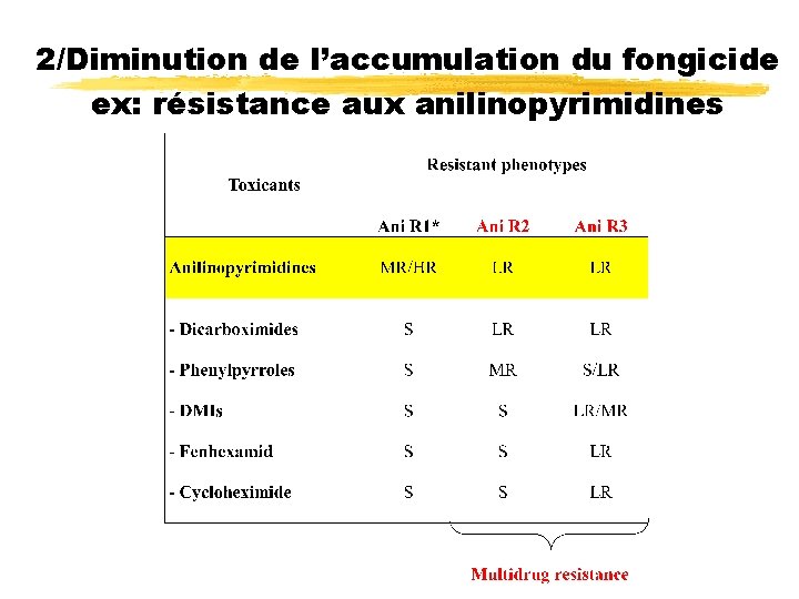 2/Diminution de l’accumulation du fongicide ex: résistance aux anilinopyrimidines 